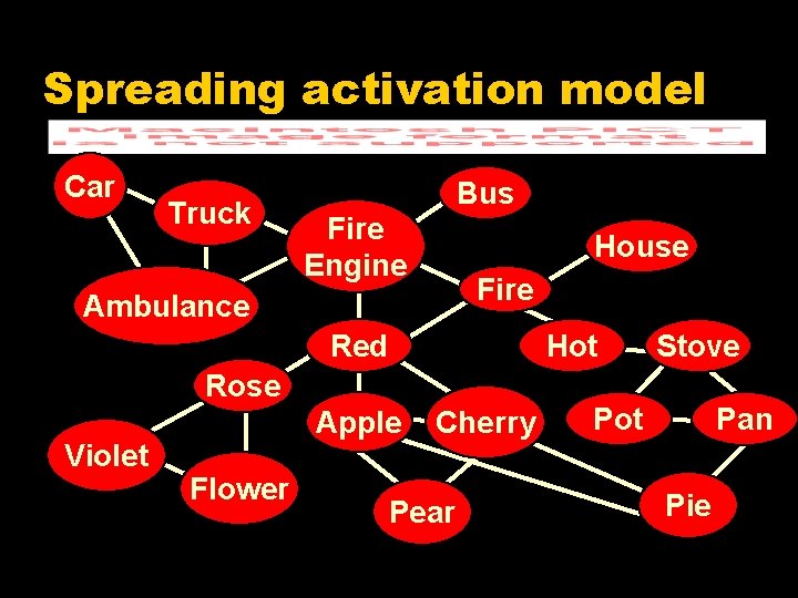 Spreading activation model Car Truck Bus Fire Engine House Fire Ambulance Red Hot Rose