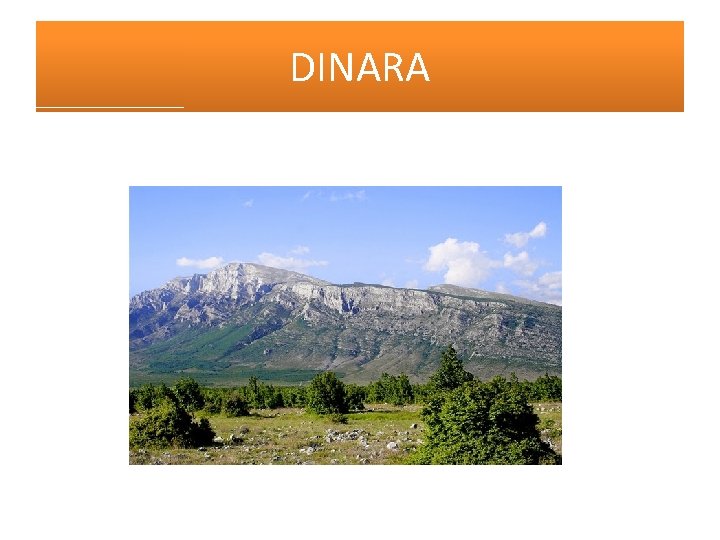 DINARA 