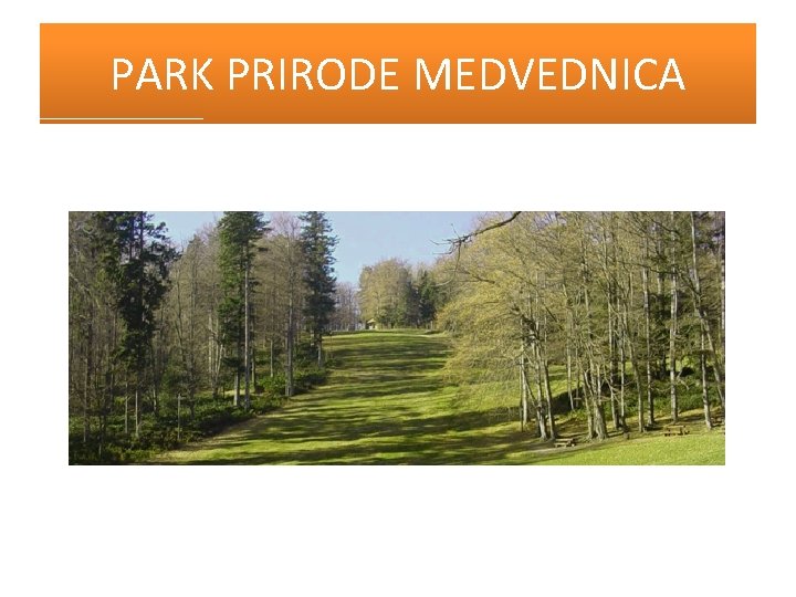 PARK PRIRODE MEDVEDNICA 