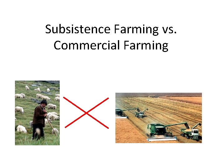 Subsistence Farming vs. Commercial Farming 
