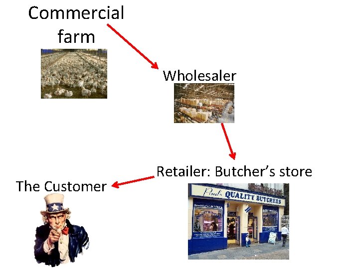 Commercial farm Wholesaler The Customer Retailer: Butcher’s store 