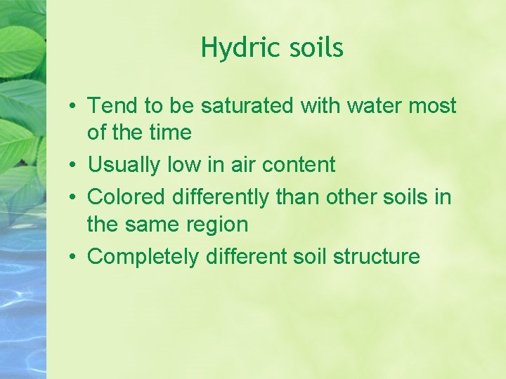 Hydric soils • Tend to be saturated with water most of the time •