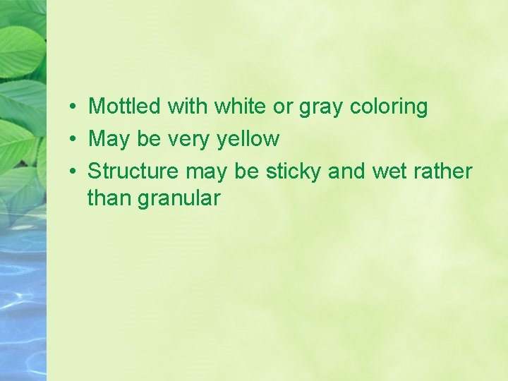  • Mottled with white or gray coloring • May be very yellow •