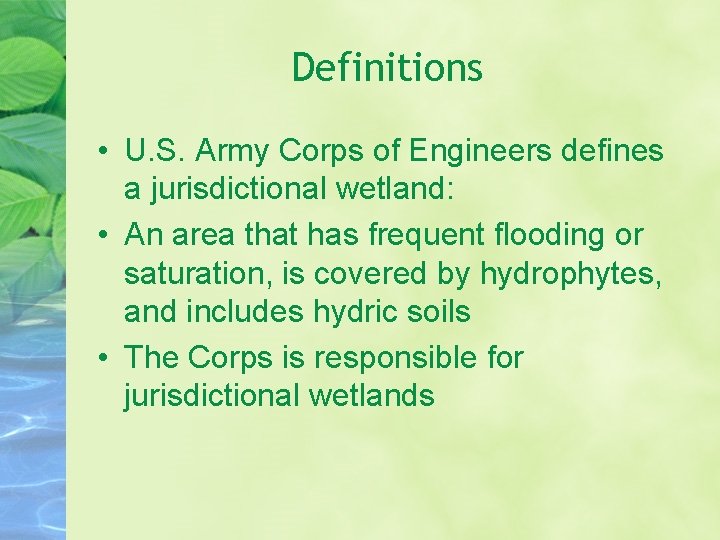 Definitions • U. S. Army Corps of Engineers defines a jurisdictional wetland: • An