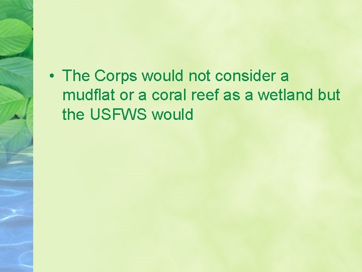  • The Corps would not consider a mudflat or a coral reef as