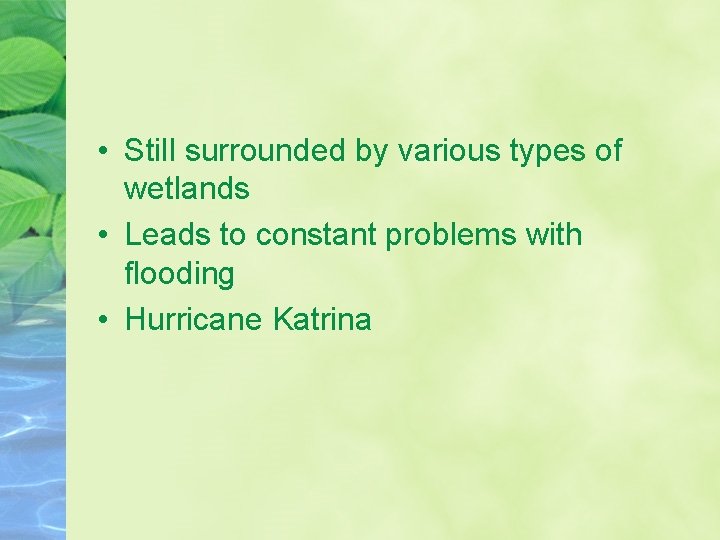  • Still surrounded by various types of wetlands • Leads to constant problems