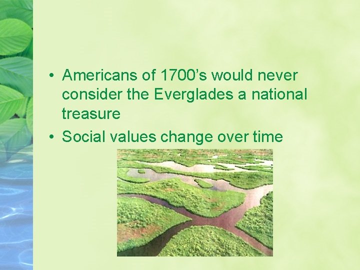  • Americans of 1700’s would never consider the Everglades a national treasure •