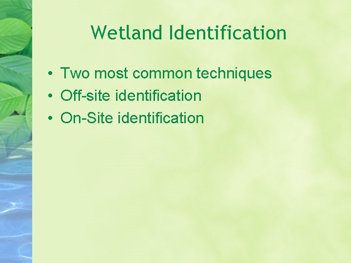 Wetland Identification • Two most common techniques • Off-site identification • On-Site identification 