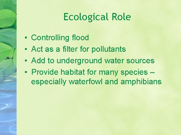 Ecological Role • • Controlling flood Act as a filter for pollutants Add to