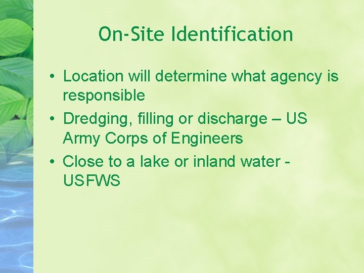 On-Site Identification • Location will determine what agency is responsible • Dredging, filling or