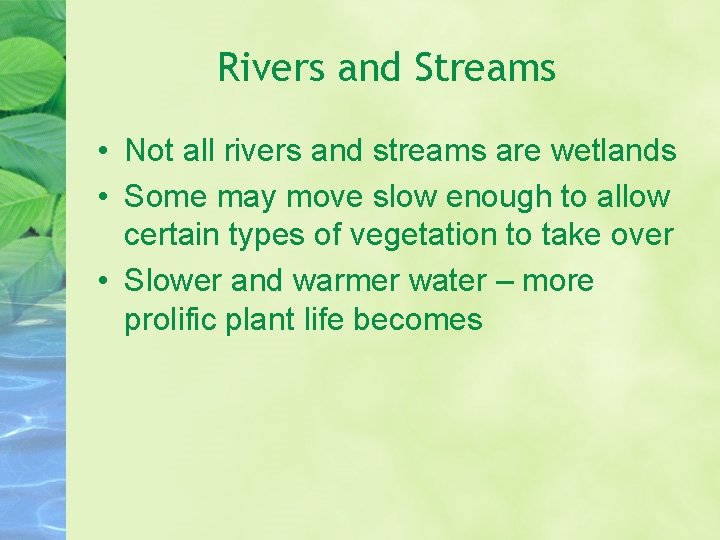 Rivers and Streams • Not all rivers and streams are wetlands • Some may