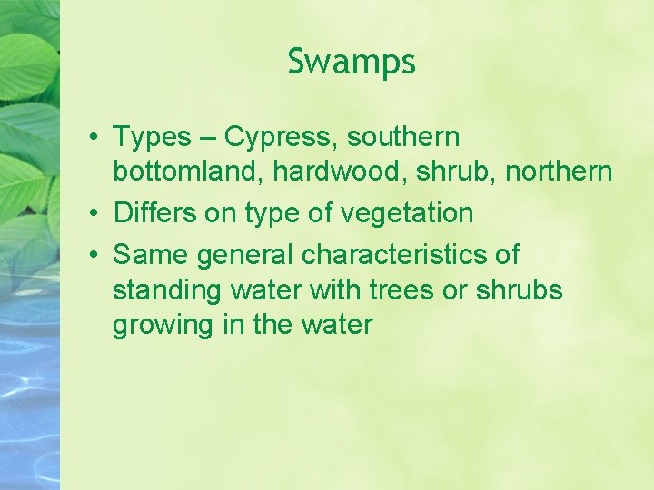 Swamps • Types – Cypress, southern bottomland, hardwood, shrub, northern • Differs on type