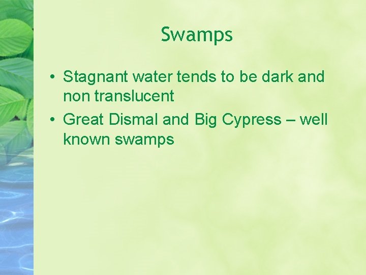 Swamps • Stagnant water tends to be dark and non translucent • Great Dismal