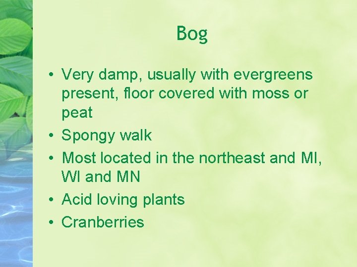 Bog • Very damp, usually with evergreens present, floor covered with moss or peat