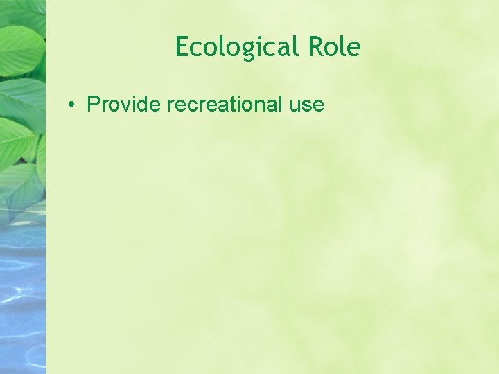 Ecological Role • Provide recreational use 