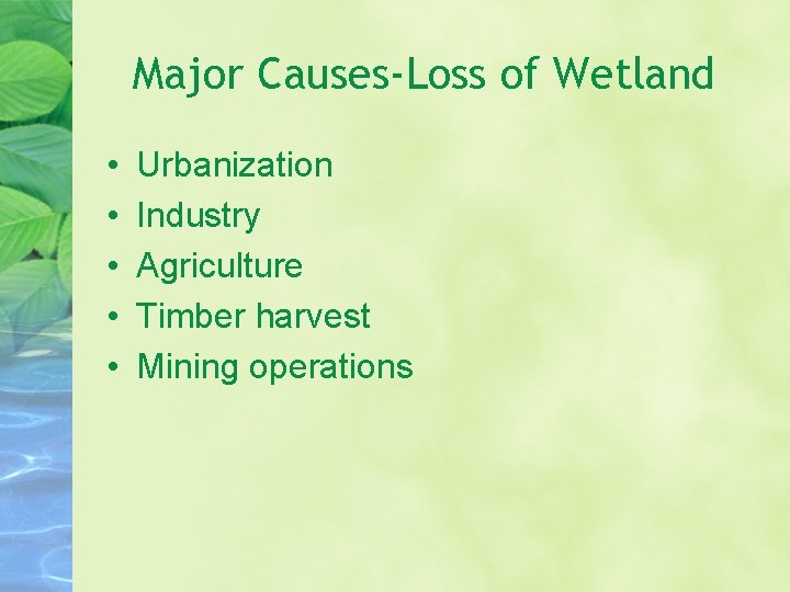 Major Causes-Loss of Wetland • • • Urbanization Industry Agriculture Timber harvest Mining operations