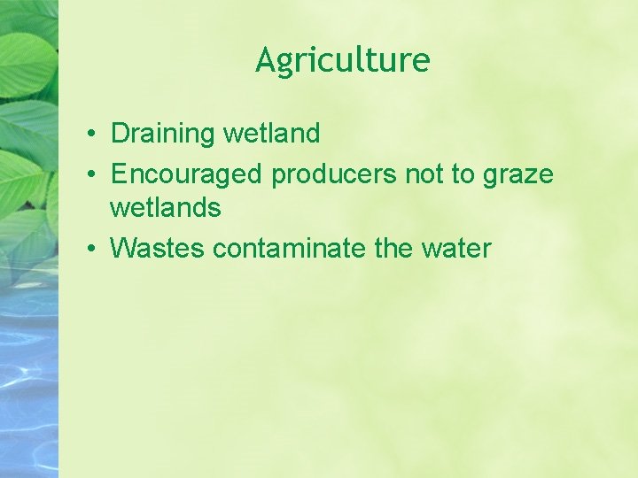Agriculture • Draining wetland • Encouraged producers not to graze wetlands • Wastes contaminate