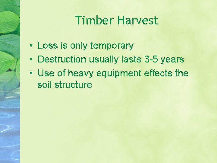 Timber Harvest • Loss is only temporary • Destruction usually lasts 3 -5 years