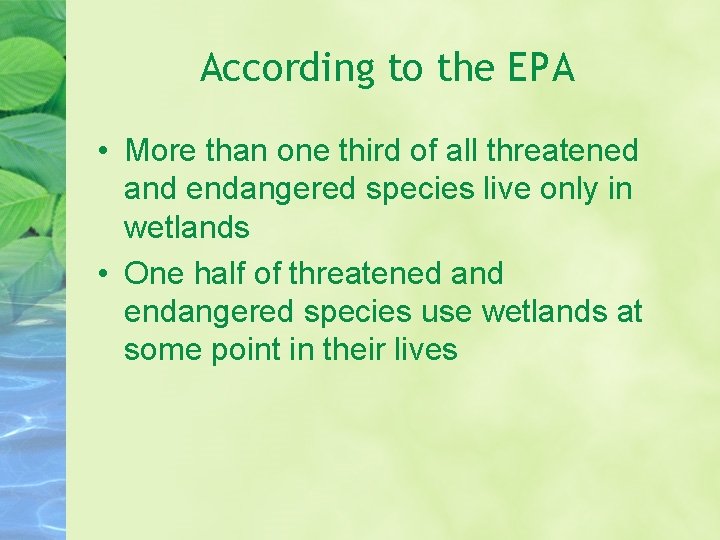 According to the EPA • More than one third of all threatened and endangered