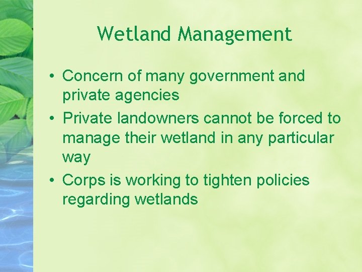 Wetland Management • Concern of many government and private agencies • Private landowners cannot