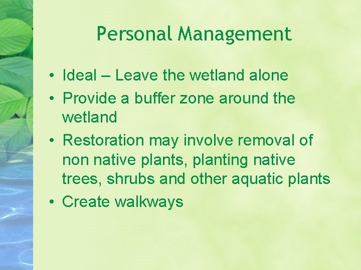 Personal Management • Ideal – Leave the wetland alone • Provide a buffer zone