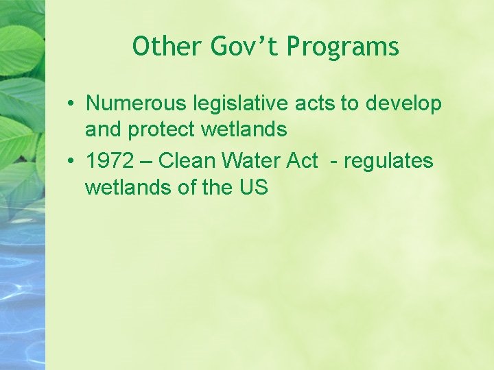 Other Gov’t Programs • Numerous legislative acts to develop and protect wetlands • 1972