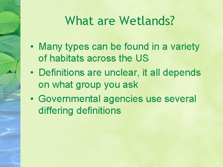 What are Wetlands? • Many types can be found in a variety of habitats