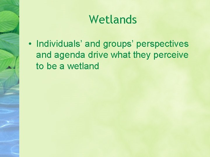 Wetlands • Individuals’ and groups’ perspectives and agenda drive what they perceive to be