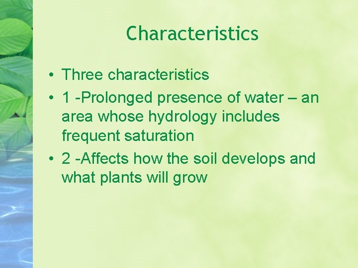 Characteristics • Three characteristics • 1 -Prolonged presence of water – an area whose