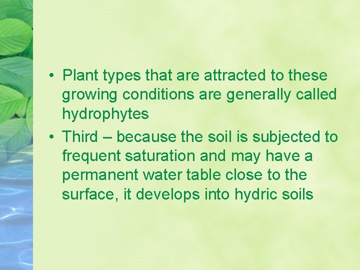 • Plant types that are attracted to these growing conditions are generally called