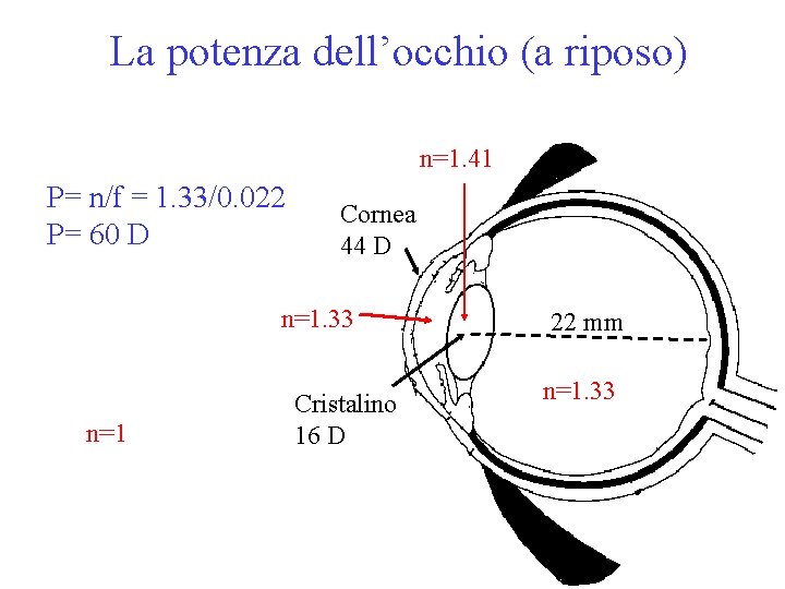 La potenza dell’occhio (a riposo) n=1. 41 P= n/f = 1. 33/0. 022 P=