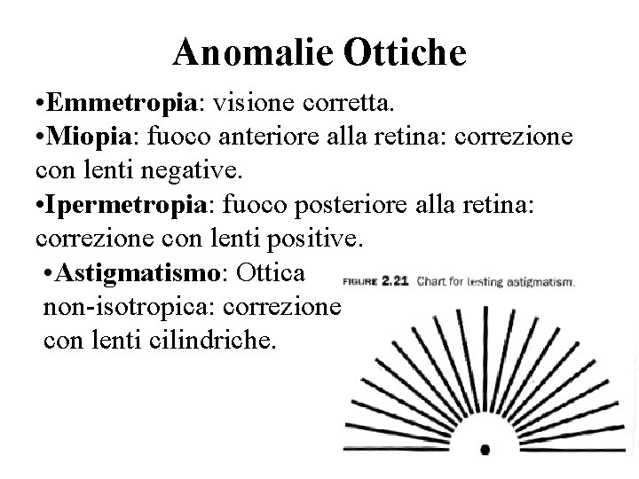 Anomalie Ottiche • Emmetropia: visione corretta. • Miopia: fuoco anteriore alla retina: correzione con