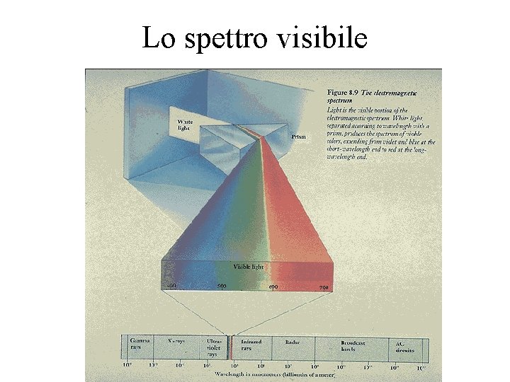 Lo spettro visibile 