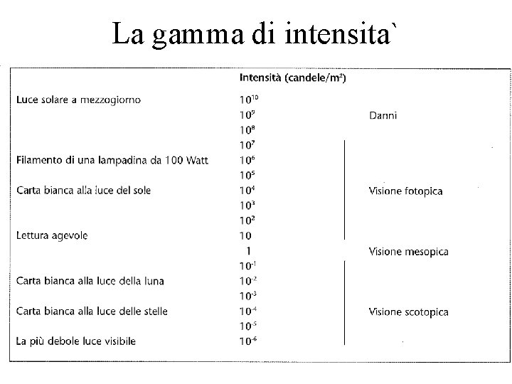 La gamma di intensita` 
