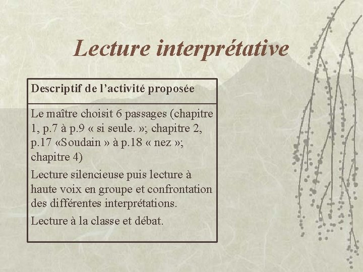 Lecture interprétative Descriptif de l’activité proposée Le maître choisit 6 passages (chapitre 1, p.