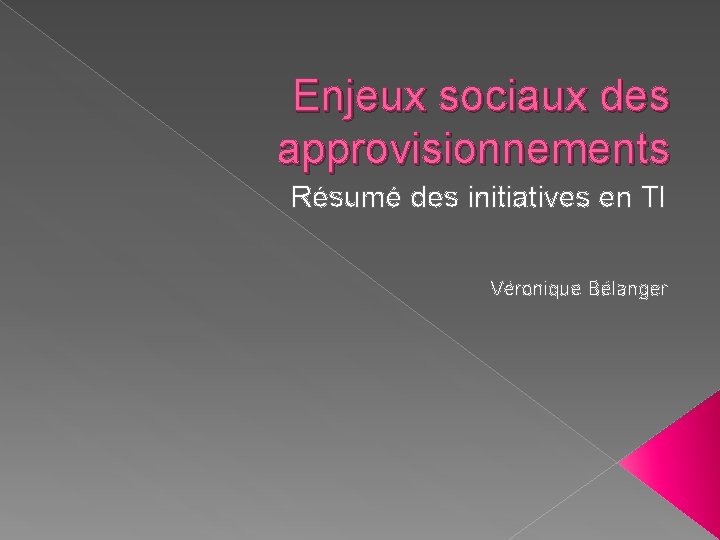 Enjeux sociaux des approvisionnements Résumé des initiatives en TI Véronique Bélanger 