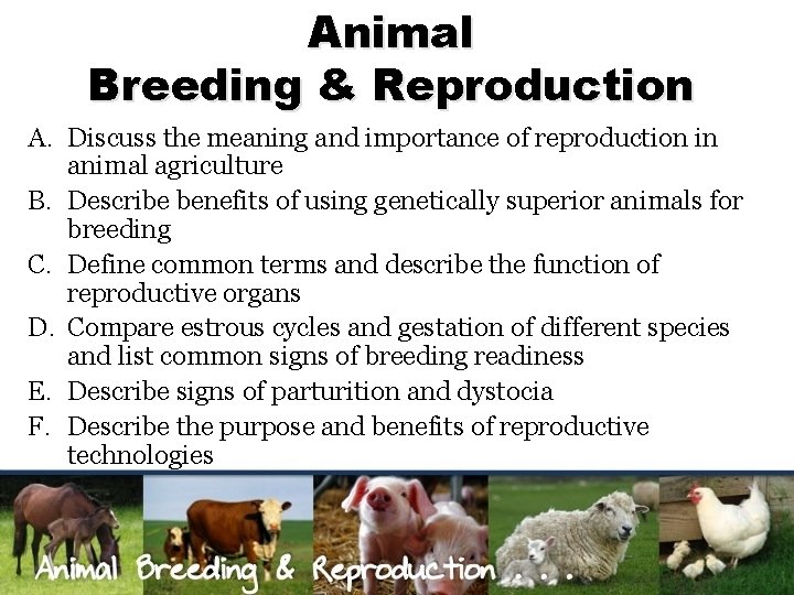 Animal Breeding & Reproduction A. Discuss the meaning and importance of reproduction in animal