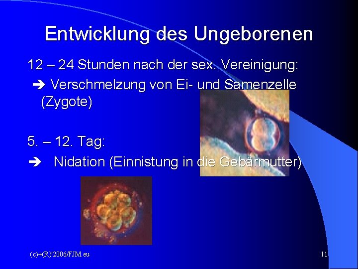 Entwicklung des Ungeborenen 12 – 24 Stunden nach der sex. Vereinigung: Verschmelzung von Ei- Entwicklung des Ungeborenen 12 – 24 Stunden nach der sex. Vereinigung: Verschmelzung von Ei-