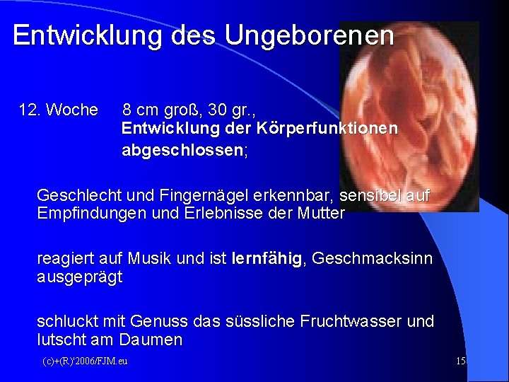 Entwicklung des Ungeborenen 12. Woche 8 cm groß, 30 gr. , Entwicklung der Körperfunktionen Entwicklung des Ungeborenen 12. Woche 8 cm groß, 30 gr. , Entwicklung der Körperfunktionen