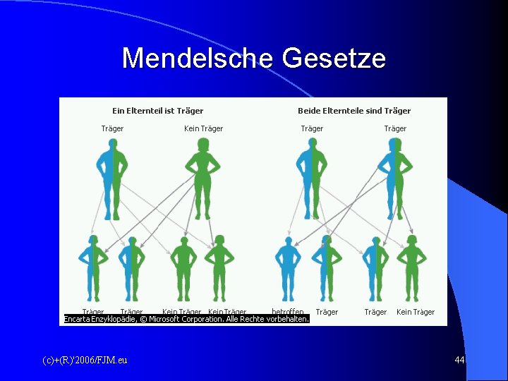 Mendelsche Gesetze (c)+(R)'2006/FJM. eu 44 Mendelsche Gesetze (c)+(R)'2006/FJM. eu 44