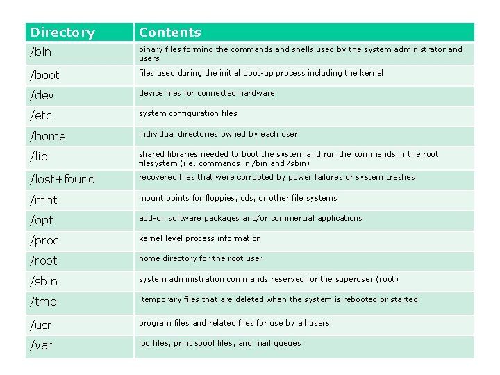 Directory Contents /bin binary files forming the commands and shells used by the system Directory Contents /bin binary files forming the commands and shells used by the system