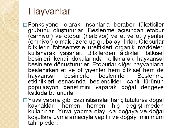 Hayvanlar � Fonksiyonel olarak insanlarla beraber tüketiciler grubunu oluştururlar. Beslenme açısından etobur (carnivor) ve