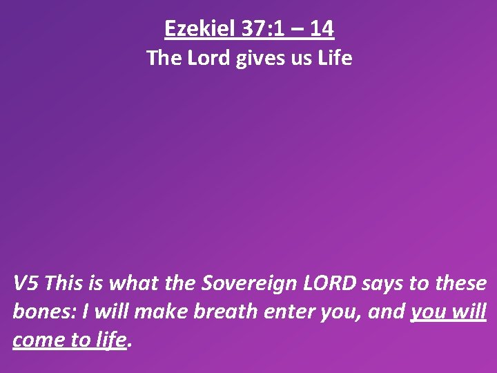 Ezekiel 37: 1 – 14 The Lord gives us Life V 5 This is