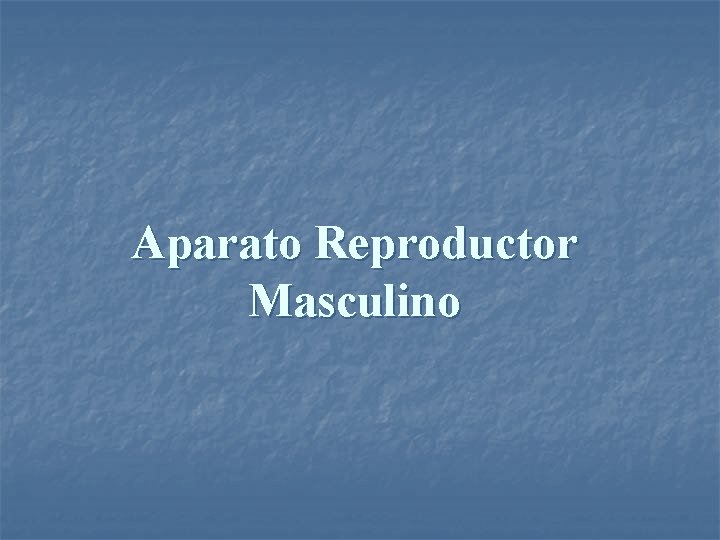 Aparato Reproductor Masculino 