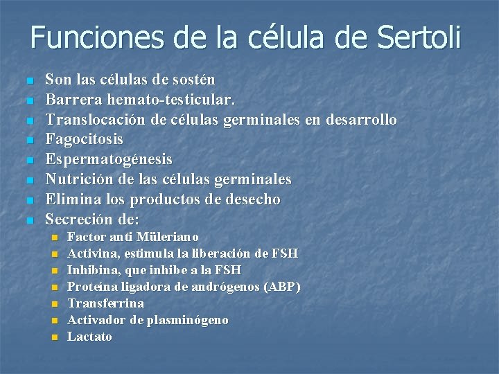 Funciones de la célula de Sertoli n n n n Son las células de
