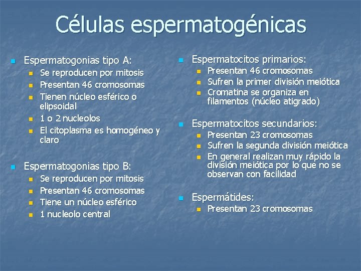 Células espermatogénicas n Espermatogonias tipo A: n n n Se reproducen por mitosis Presentan