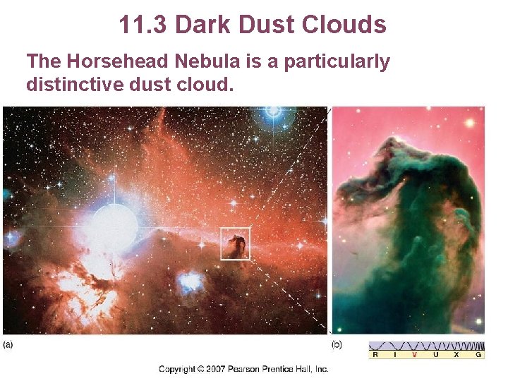 11. 3 Dark Dust Clouds The Horsehead Nebula is a particularly distinctive dust cloud.