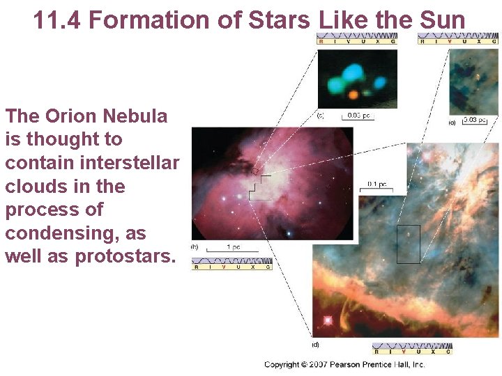 11. 4 Formation of Stars Like the Sun The Orion Nebula is thought to