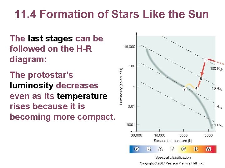 11. 4 Formation of Stars Like the Sun The last stages can be followed