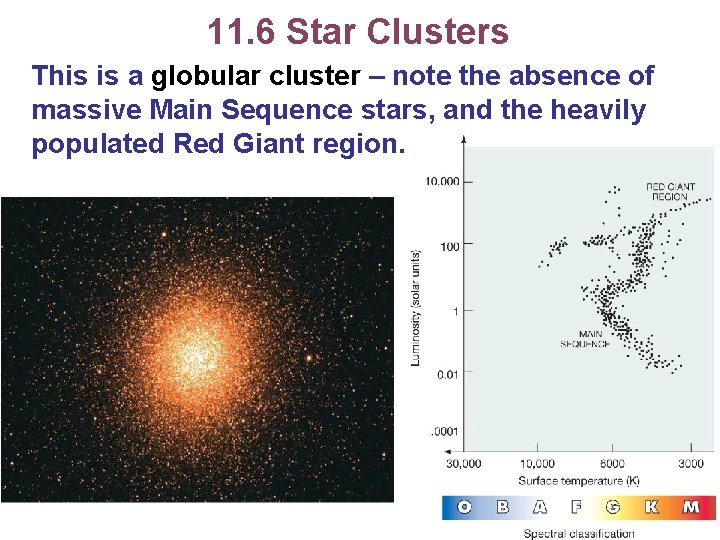 11. 6 Star Clusters This is a globular cluster – note the absence of